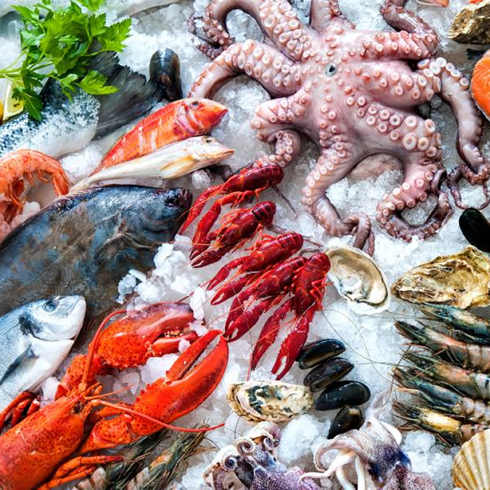 picture of a verity of fish on crushed ice